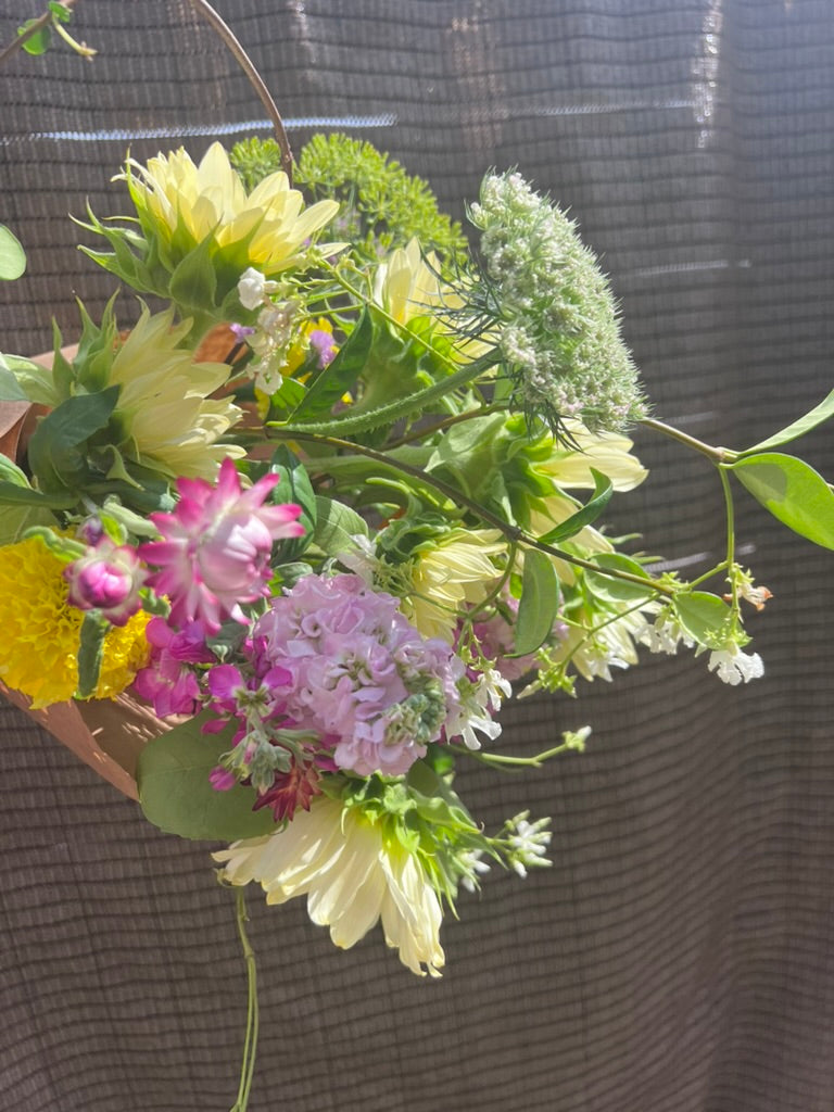 Seasonal Cut Flower Bouquet - Small