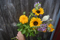 Seasonal Cut Flower Bouquet - Large