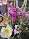 Bouquet with Stock, white poppy, saponaria, cress